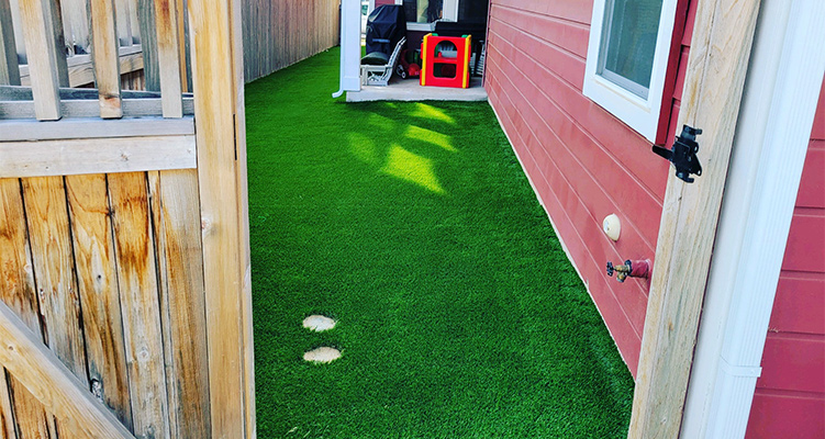 turf installation pflugerville